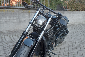 Harley Davidson night rod special