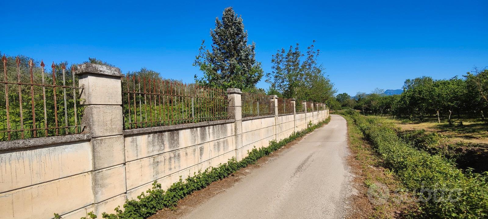 Terreno Il Contadino - Vista 6