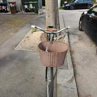 bici da donna 