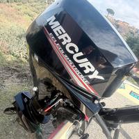 Mercury F20 MH EFI 4 tempi