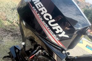 Mercury F20 MH EFI 4 tempi
