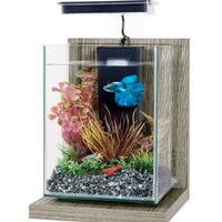 Acquario