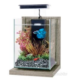 Acquario