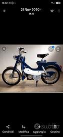 motom Diana