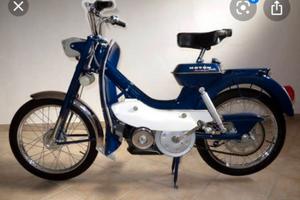 motom Diana