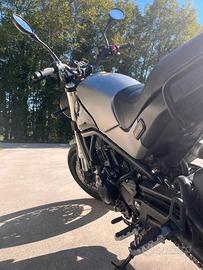 Benelli leoncino