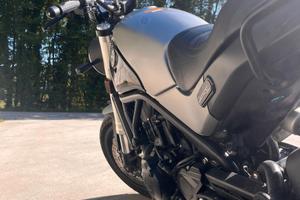 Benelli leoncino