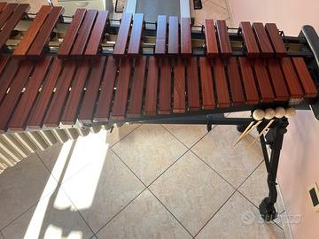 Marimba Adams 4.3 ottave