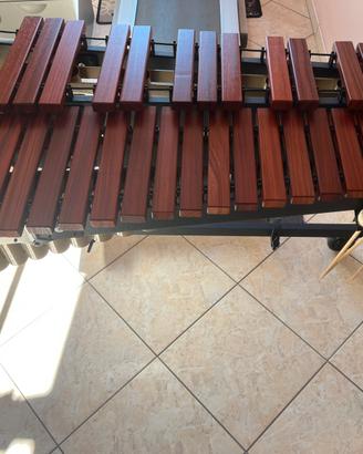 Marimba Adams 4.3 ottave