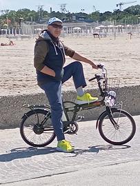 bicicletta elettrica ruota da 20 batteria 36v 10 