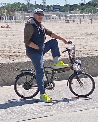 bicicletta elettrica ruota da 20 batteria 36v 10 
