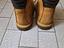 Immagine 4