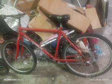 bici da passeggio