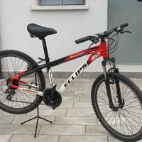 Bicicletta ragazzo 11-14 anni