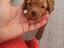 Immagine 6