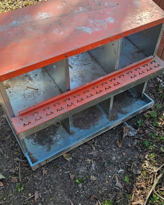 recinzione e nido per galline 6 posti