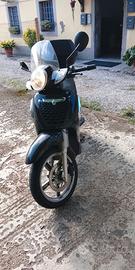 Scarabeo 200