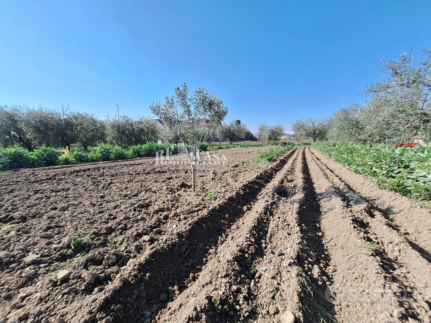 Land, 2500 m²
