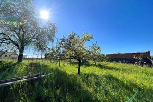 Terreno di 27680 m² a Viterbo