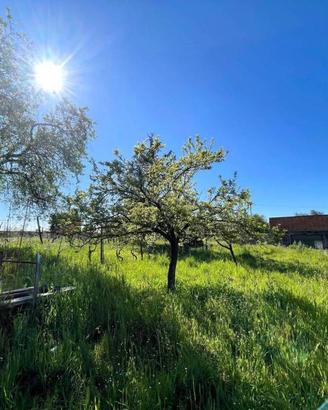 Terreno di 27680 m² a Viterbo