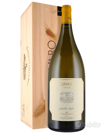 Cervaro della sala magnum