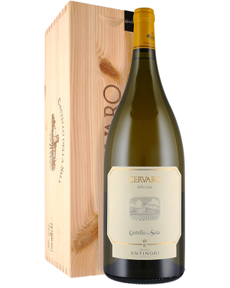 Cervaro della sala magnum