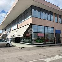 NEGOZIO A SAVIGNANO SUL RUBICONE