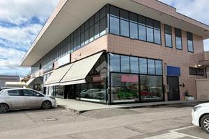 NEGOZIO A SAVIGNANO SUL RUBICONE