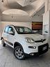 fiat-panda-cross-1-3-mjt-95-cv-s-s-4x4
