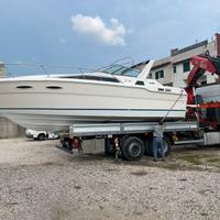 Sea ray 30