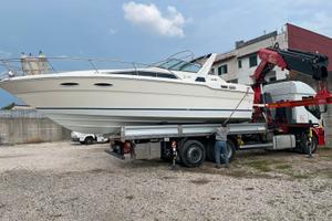 Sea ray 30