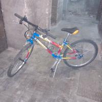 bicicletta 24"