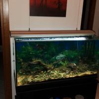 acquario da 200 LT.completo mobile pompa...