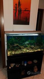 acquario da 200 LT.completo mobile pompa...