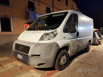 Fiat Ducato furgone