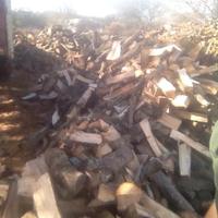 Legna serietà professionalità in primis