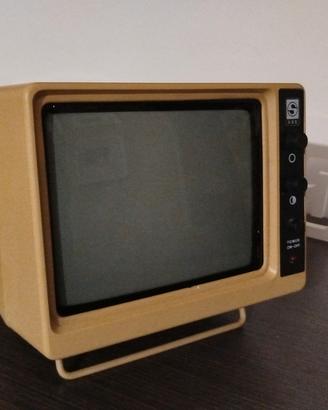 monitor vintage