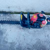 tagliasiepi  a  scoppio 