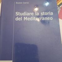 Studiare la storia del Meditteraneo