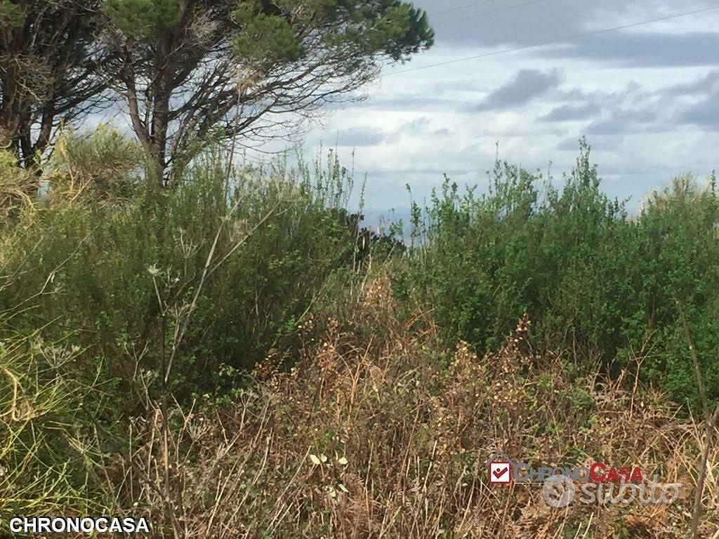 Terreno a Castanea Rif.MFE-5493 - Vista 4