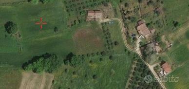 Terreno agricolo luzzi zona valliva