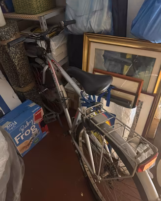 bicicletta 