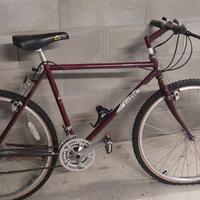 MOUNTAIN BIKE GARY FISHWR