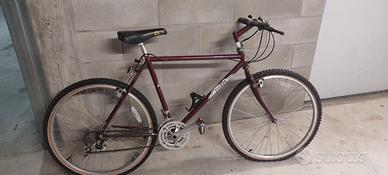 MOUNTAIN BIKE GARY FISHWR