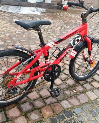 bici Dino bike