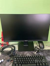 monitor asus 24 pollici
