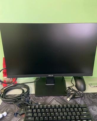 monitor asus 24 pollici