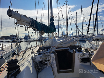 Barche a vela 13 metri