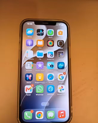 IPHONE 12 PRO MAX