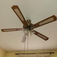 Due ventilatori da soffitto - stile classico